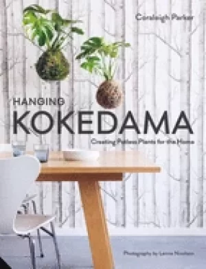 Image of hanging kokedama creating potless plants for the home