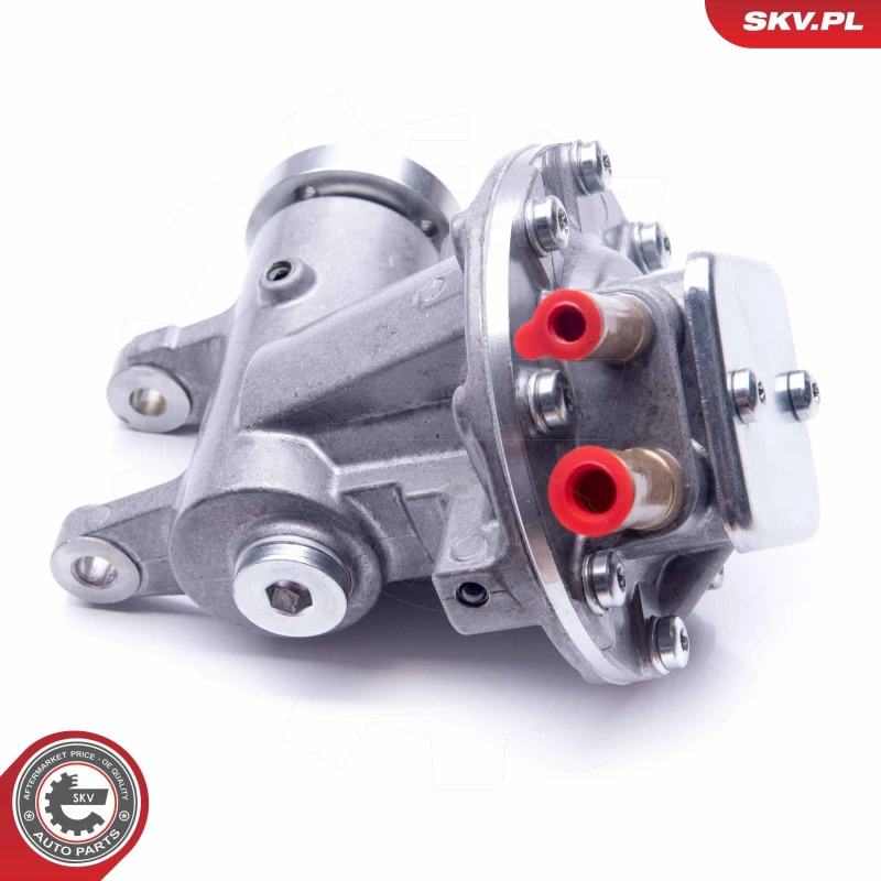 Image of ESEN SKV Brake vacuum pump ESEN SKV 18SKV019