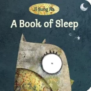 Image of book of sleep
