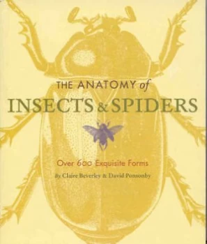 Image of The Anatomy of Insects and Spiders by Claire Beverley and David J Ponsonby Paperback