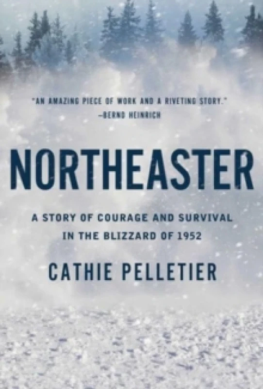 Image of Northeaster : A Story of Courage and Survival in the Blizzard of 1952 Paperback / softback
