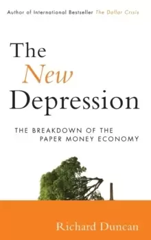 Image of The New Depression : The Breakdown of the Paper Money Economy