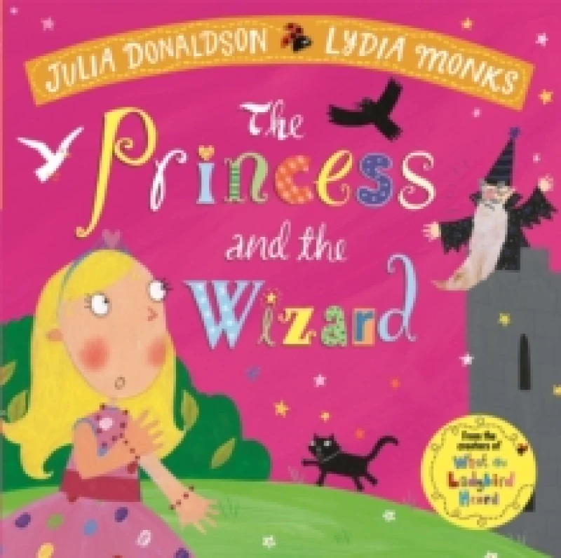 Image of princess and the wizard 9781509862719
