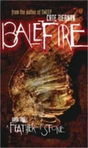 Image of feather of stone