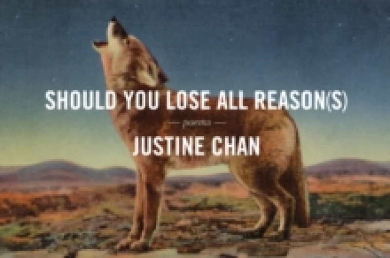 Image of Should You Lose All Reason(s) Paperback / softback