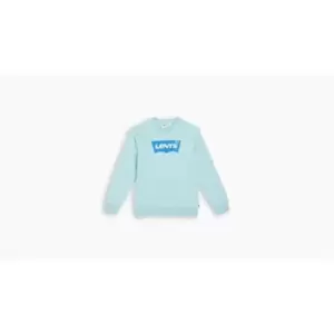 Image of Levis Levis Batwing Crew Sweatshirt - Green