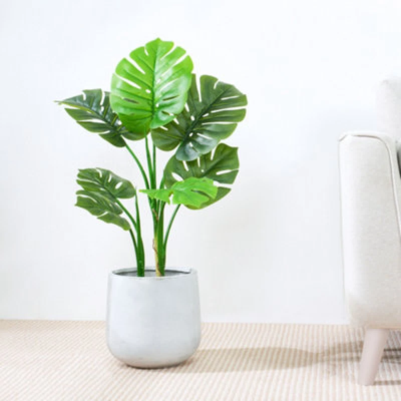 Image of MCC Direct Artificial Plant Monstera Tree Indoor House Plant 80Cm