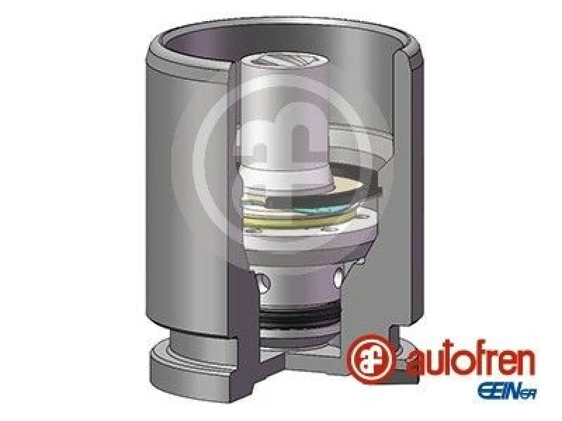 Image of AUTOFREN SEINSA Brake caliper piston AUTOFREN SEINSA D02593K