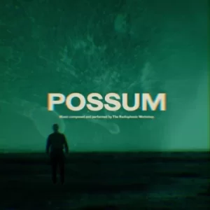 Image of The Radiophonic Workshop – Possum Vinyl
