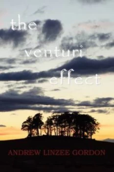 Image of The Venturi Effect by Andrew Linzee Gordon Paperback