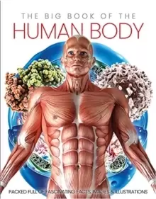 Image of The Big Book of the Human body