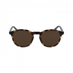 Image of Lacoste Lacoste L916S S/G 00 - Havana 214