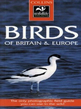 Image of Collins Guide to Birds by John Gooders Paperback