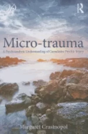 Image of micro trauma a psychoanalytic understanding of cumulative psychic injury