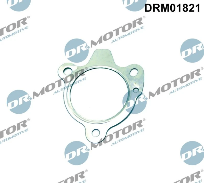 Image of DR.MOTOR AUTOMOTIVE Exhaust pipe gasket DR.MOTOR AUTOMOTIVE DRM01821