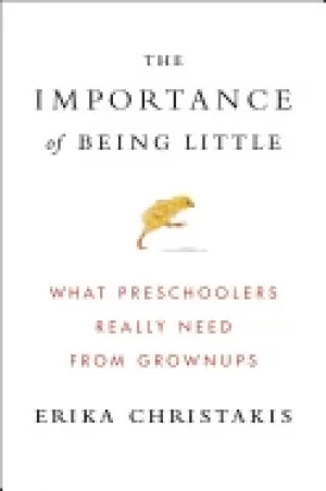 Image of importance of being little what preschoolers really need from grownups