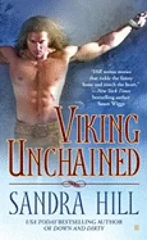 Image of viking unchained