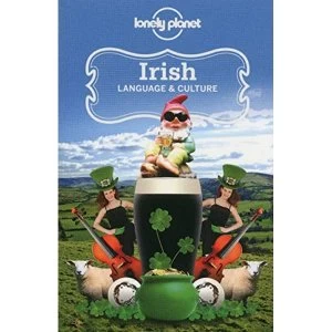 Image of Irish Language & Culture by Lonely Planet (Paperback, 2013)