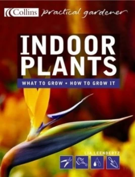 Image of Indoor Plants by Lia Leendertz Book