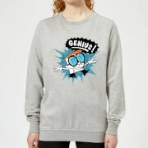 Image of Dexters Lab Genius Womens Sweatshirt - Grey - 3XL