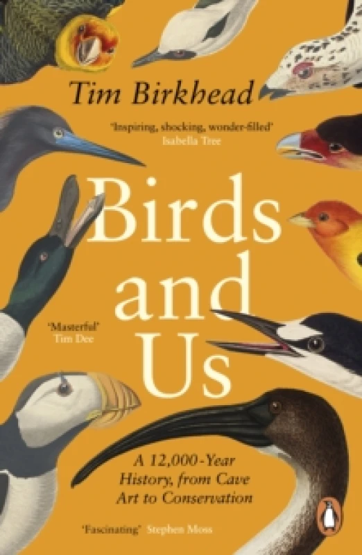 Image of Birds and Us. Paperback. By Tim Birkhead Books