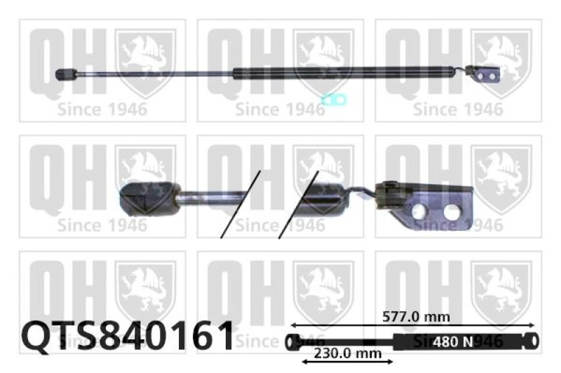 Image of QUINTON HAZELL Tailgate strut QUINTON HAZELL QTS840161
