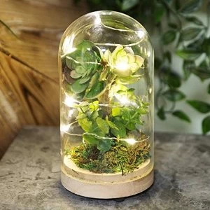 Image of Dome Glass Terrarium with Artificial Succulent & LEDs 17.5cm