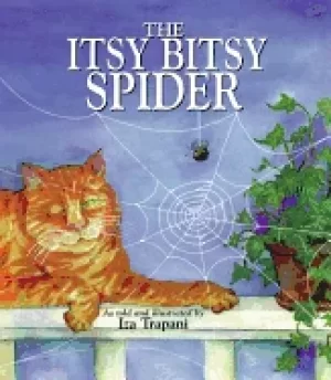 Image of itsy bitsy spider