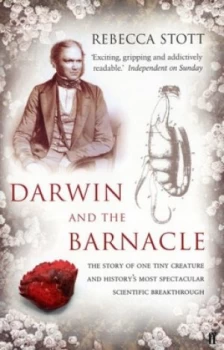 Image of Darwin and the Barnacle by Rebecca Stott Paperback