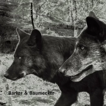 Image of Barker And Baumecker - Transsektoral CD