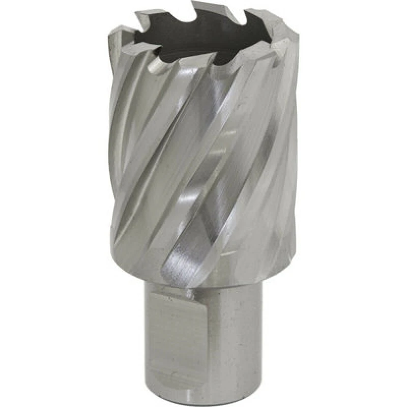 Image of Loops 29mm x 25mm Depth Rotabor Cutter - M2 Steel Annular Metal Core Drill 19mm Shank Metallics