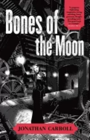 Image of bones of the moon