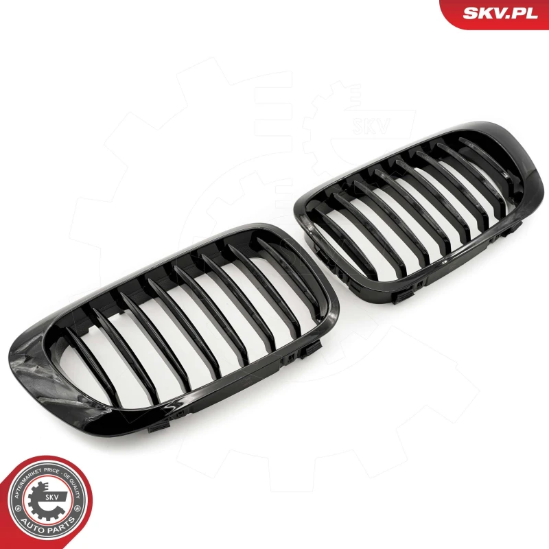 Image of ESEN SKV Radiator Grille ESEN SKV 66SKV055
