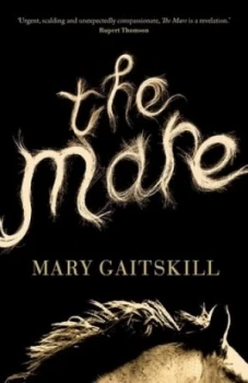 Image of The Mare by Mary Gaitskill Hardback