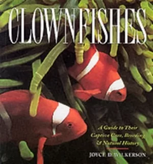 Image of Clownfishes by Joyce D Wilkerson