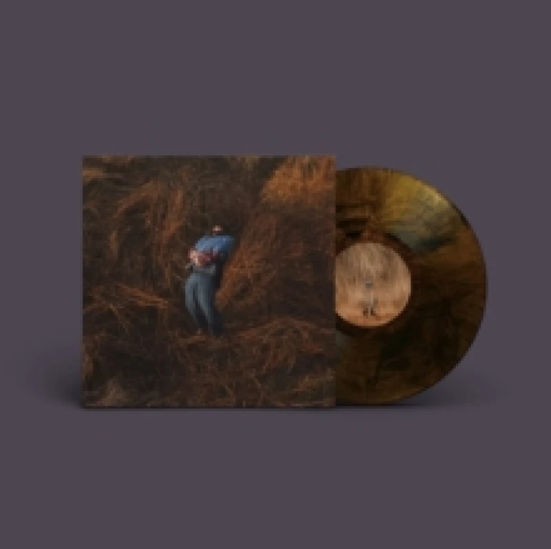 Image of Pillars Vinyl
