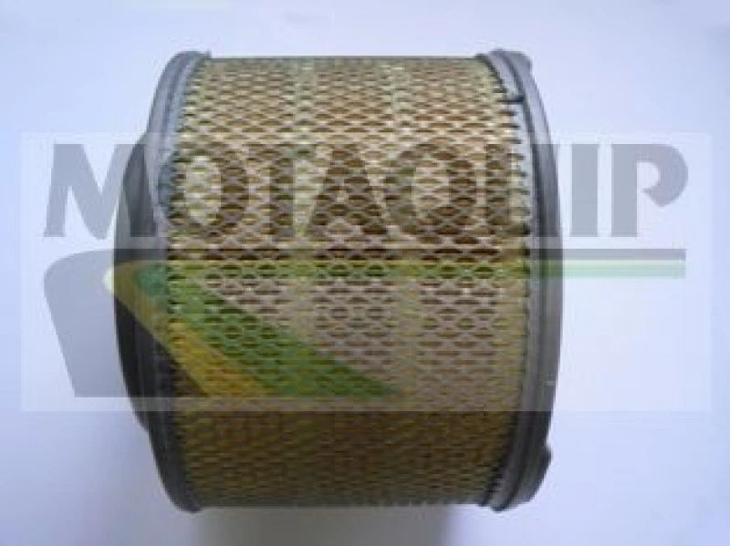 Image of MOTAQUIP Air filter MOTAQUIP VFA1221