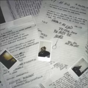 Image of Xxxtentacion 17 - EX 2018 USA vinyl LP 888915663776