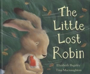 Image of The Little Lost Robin by Elizabeth Baguley and Tina Macnaughton Hardback