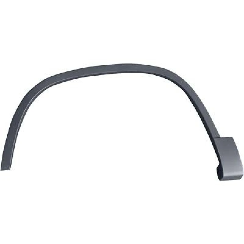Image of Fender flare DIEDERICHS 2255353