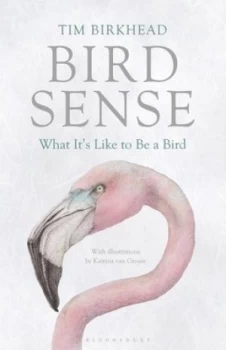 Image of Bird Sense by Tim Birkhead Hardback