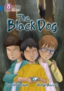 Image of The Black Dog : Band 16/Sapphire