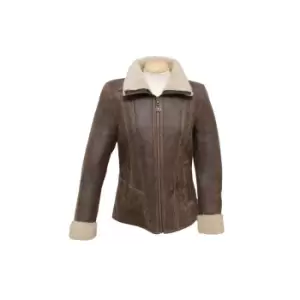 Image of Eastern Counties Leather Womens/Ladies Krissy Aviator Sheepskin Coat (14) (Chocolate Forest)