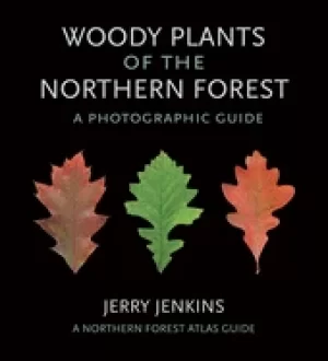 Image of woody plants of the northern forest a photographic guide