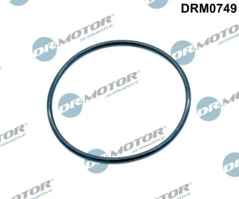 Image of DR.MOTOR AUTOMOTIVE Inlet manifold gasket DR.MOTOR AUTOMOTIVE DRM0749