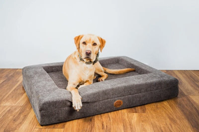Image of Snug & Cosy Pets Snug And Cosy Orthopaedic Lounger Chocolate 73Cm X 58Cm X 15Cm