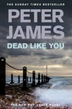 Image of Dead like You by Peter James Hardback