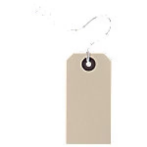 Image of Double Reinforced Heavy Duty Tags 96 x 48mm Pack 1000