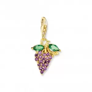 image of Sterling Silver Multicoloured Grape Charm Pendant 1878-472-7