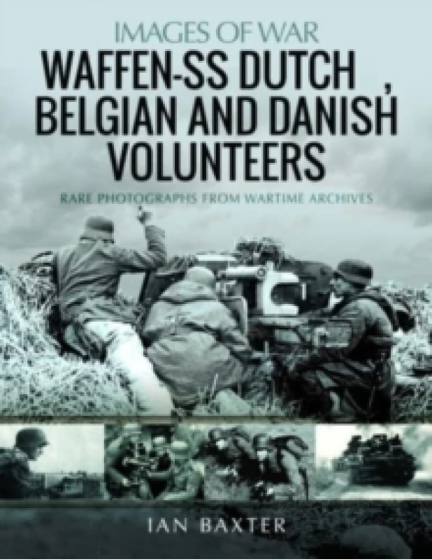 Image of Waffen-SS Dutch & Belgian Volunteers Paperback / softback